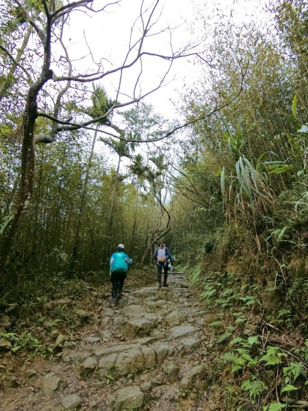 台南第一高山大凍山240798