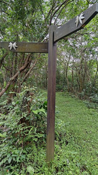 楊廷理古道2814625