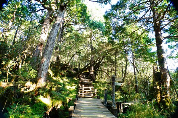 宜蘭 大同 多門山3127620