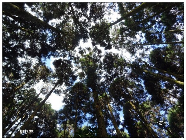 光天高山、向天湖山、三角湖山連走1588144