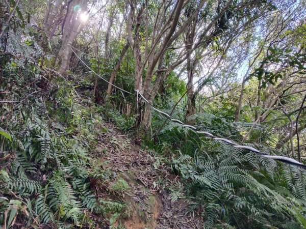 基隆市/萬里區界寮縱走之三界山+三界山西峰+開眼尖山+七分寮山+瑪七產道山泉水接水亭2979548