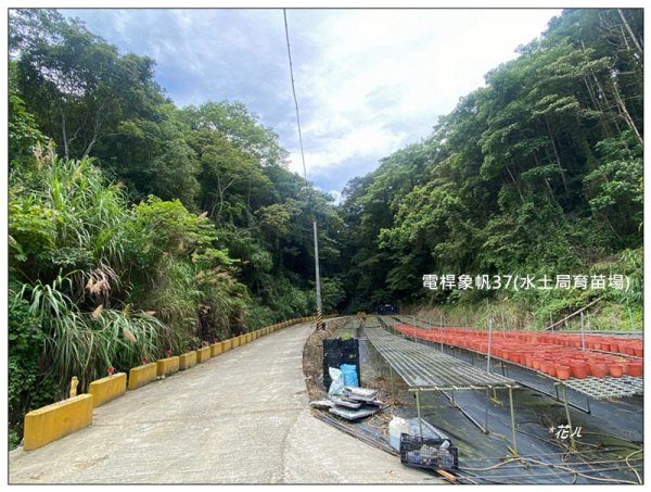 白布帆山、挑沙古道 連走2815737