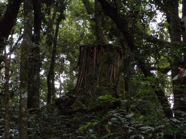 治茆山,治茆山南峰,巒山堂691180