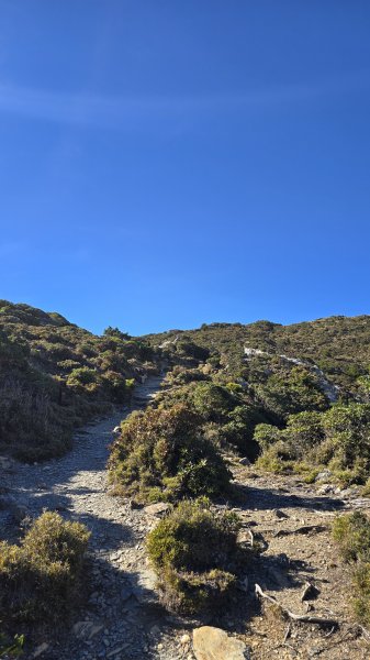 20251211-1216 新康橫斷+嘉明湖2965364