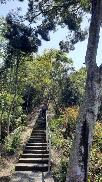 《彰化》登山逛市集｜臥龍坡步道環藤山步道202503222740500