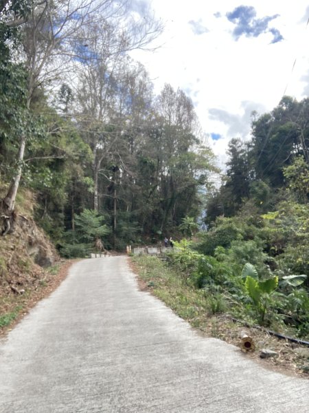 雪山坑環線步道2991148