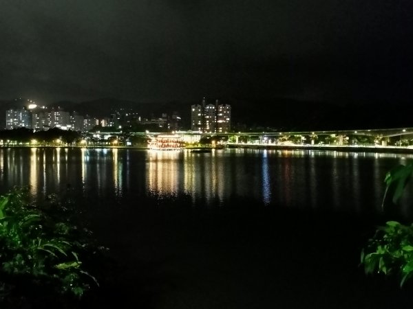 大湖公園《雨中夜行》1904701