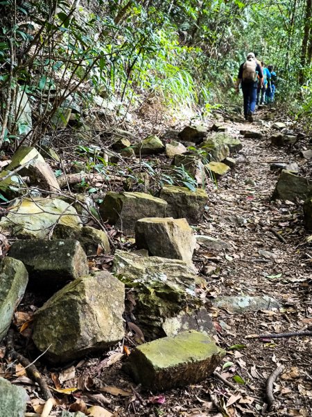 2026-01-18 埔里關刀山2989577