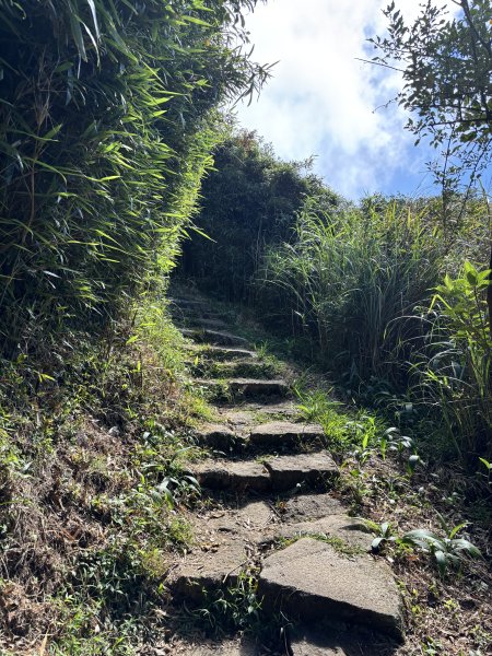 面天山、向天山、向天池2921049