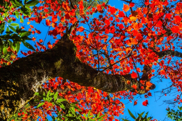 稍來鳶嘴步道26070
