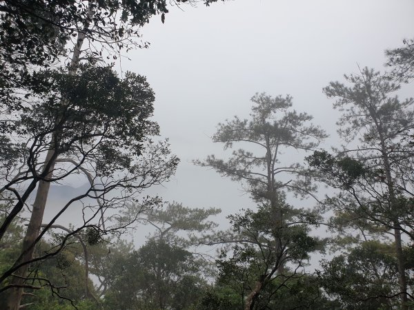 麗陽上屋我尾山2683129