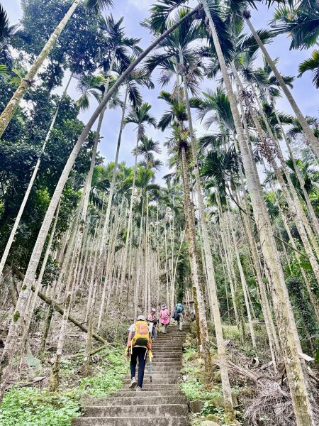 二尖.大尖山悠遊--好友再聚的茶園餘韻   2026.01.182985463