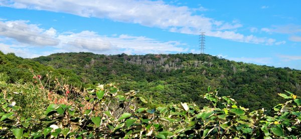 內湖金面山，論劍山，鶯歌蛋山，忠義山，長壽步道，桃園虎頭山公園1990193