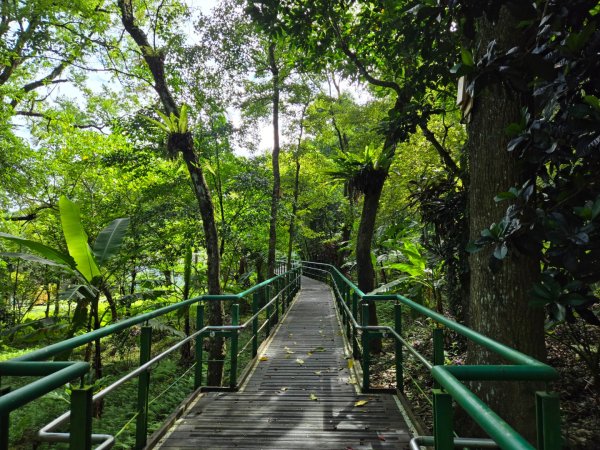 池南國家森林遊樂區2595254