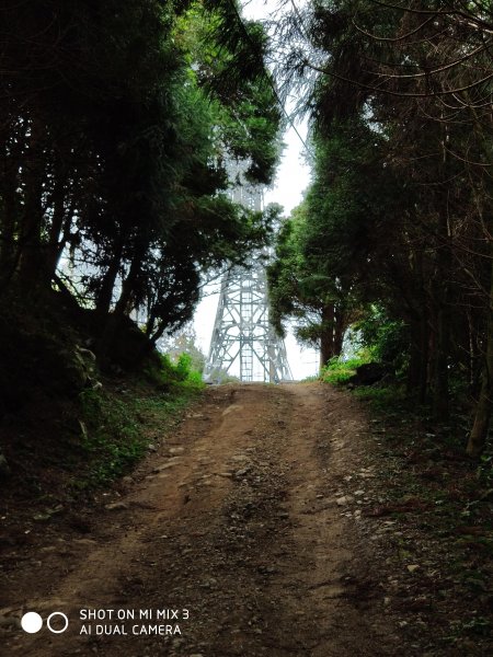 五指山五連峰純路況530517