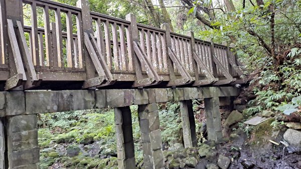 台北大縱走第一段1249210