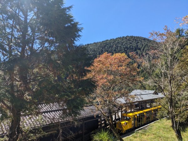 太平山國家森林遊樂區-蹦蹦車3137091