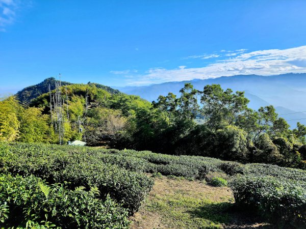 小百岳集起來-雲嘉大尖山2182896