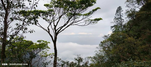 20240419-20松羅湖二天一夜2767365