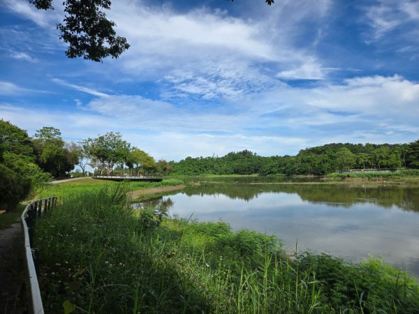 虎頭埤環湖步道（新化虎頭山）2890928