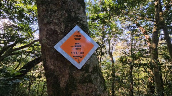 逆走逐鹿卡保環型路線全段全紀錄2949842