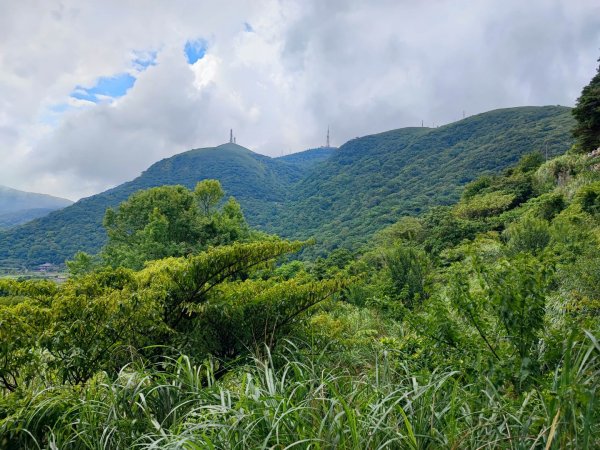 環七星山人車分道步道-陽金公路段 - 走遍陽明山尋寶任務2255026