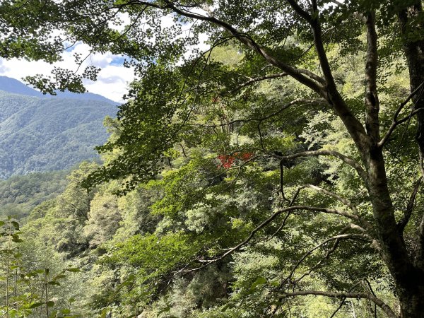 境界山登伊澤山1881599