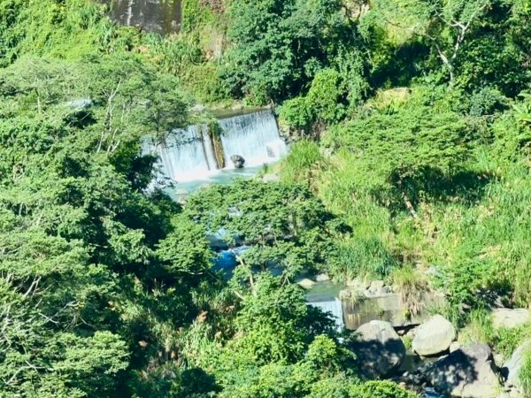 羊彎上武岫大崙山茶園尋山頭2824877