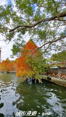 【南投魚池】悠遊騎乘。日月潭自行車環湖步道2961453