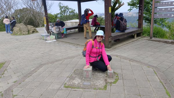 (姨婆趴趴走)第五十集:新北樹林大同山、青龍嶺、大棟山諸峰連走2751626