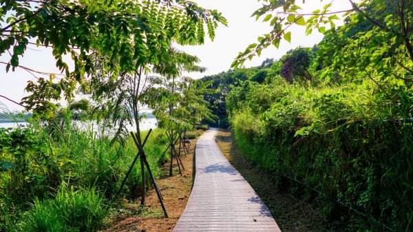 大社觀音山湖2954918