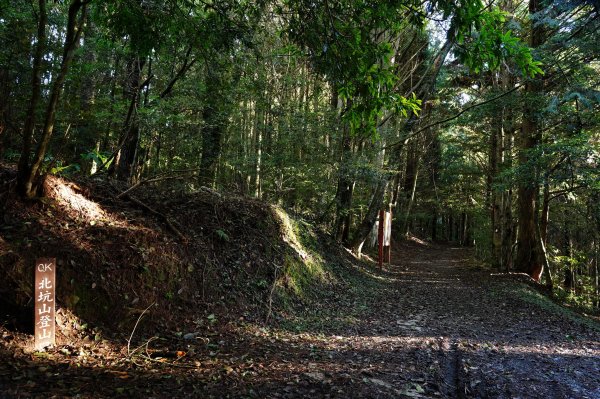 苗栗 泰安 東洗水山、北坑山、大板根2613345