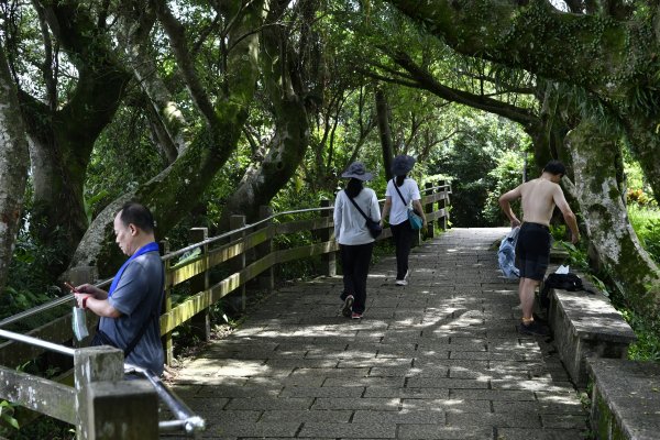 被遺忘的南港山角落：樹梅古道1444328