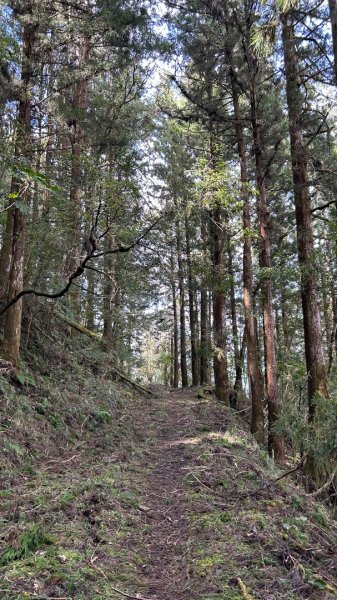 大同舊太平山神社給給池日向台2748242