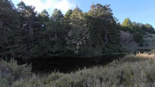 武法奈尾山1946742