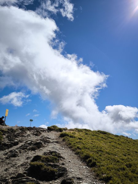 2025-11-07 合歡北峰、小溪營地、鷹石尖、北峰名樹2934340