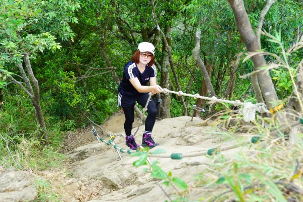 五寮尖登山步道954229