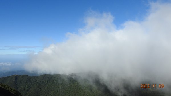 觀音圈+夕陽+芒花+雲霧飄渺+雲層帶狂風大作弱不禁風1904994