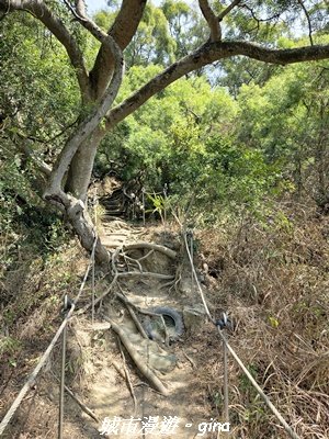 【台中大肚】大肚萬里長城登山步道3023840