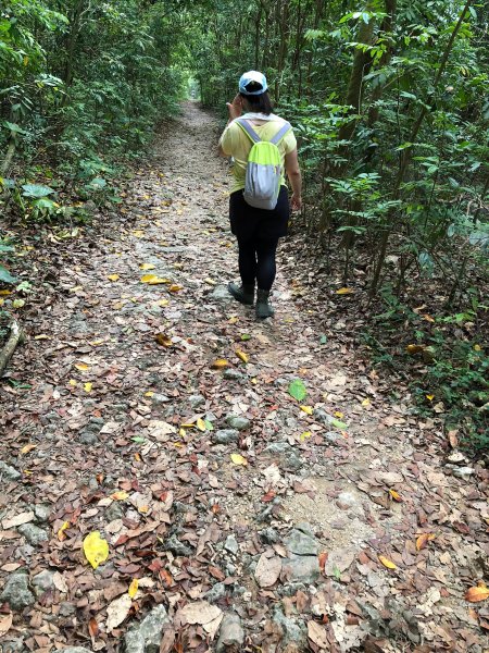 2020.10.01南壽山1119728