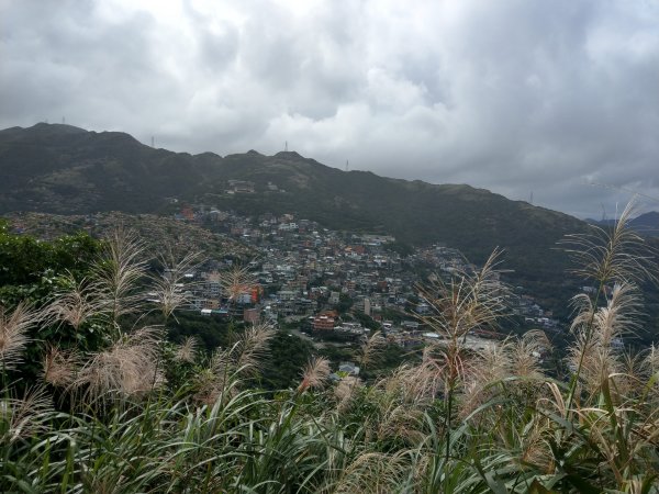 基隆山(小百岳#6) & 山腰步道 (2020/11/16)1426710