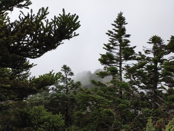 北一段(06/14)巴巴山 2025_0906~132886707