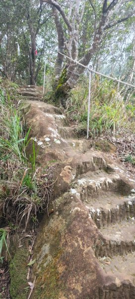 微笑山線：【二格山系】皇帝殿稜線段3003105