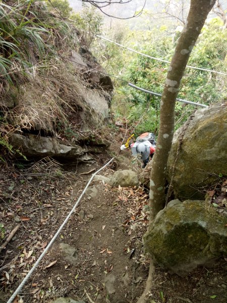 小百岳暗影山(高巢森活上)1909906