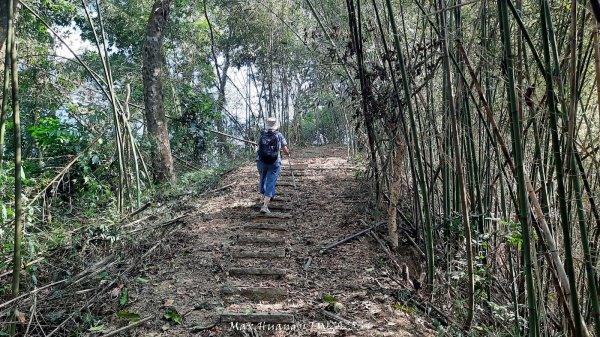 《南投》古道巡禮｜八通關古道社寮線蜈蚣崙段202511152937044