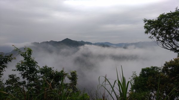 大艽芎古道-溪洲山-頭寮山577973