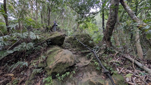 114.12.14黃帝殿西峰-天王峰-黃帝殿東峰之旅2962023