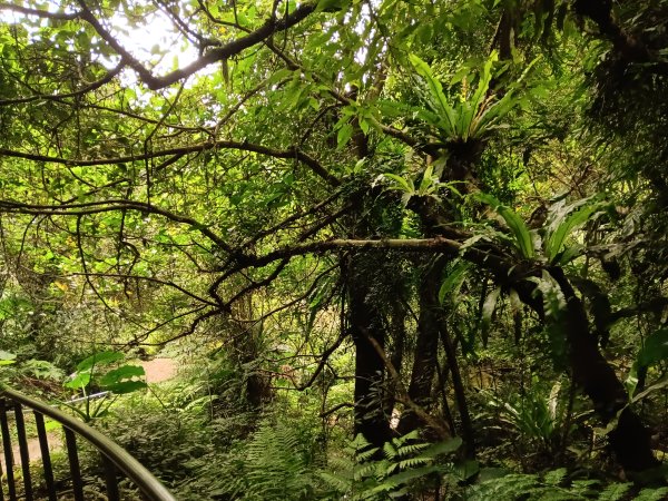 微笑山線二格山系銀河洞越嶺段2986116