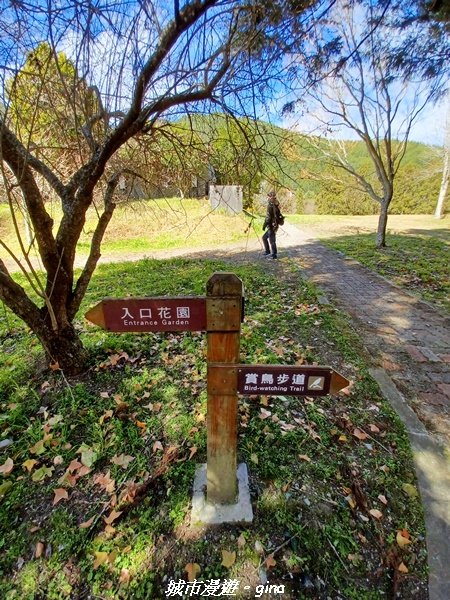 【台中和平】不期而遇~最美。 武陵農場山(馬武霸東峰)x賞鳥步道1990853