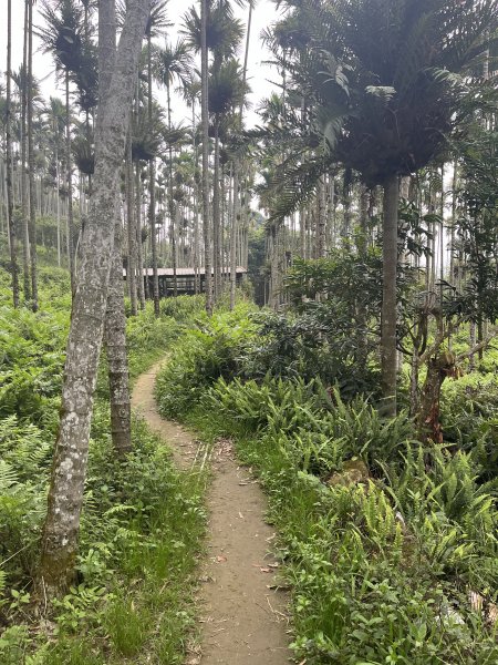 2023_0429_挑筍古道2138297